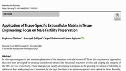 Application of Tissue-Specific Extracellular Matrix in Tissue Engineering: Focus on Male Fertility Preservation
